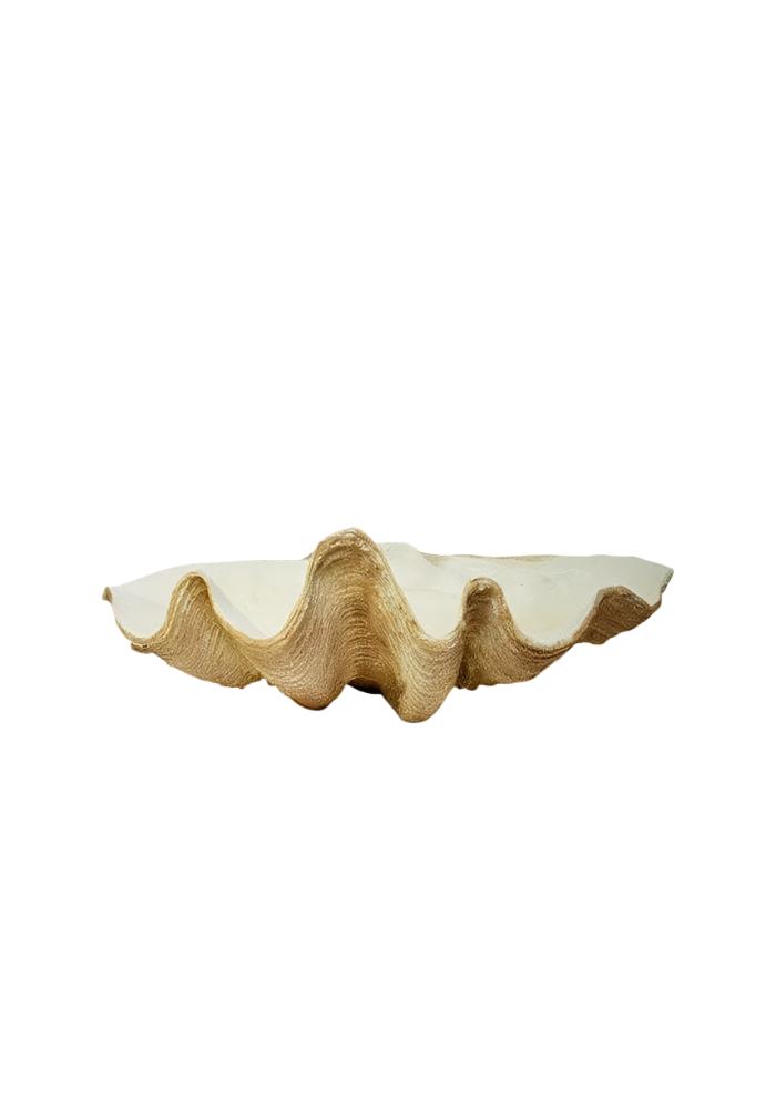 Odyssey Shell Centerpiece - Casa by Josephine Jenno