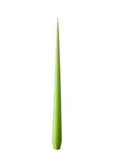 Olivia's Apple Bite Medium Taper Candles - Casa by Josephine Jenno