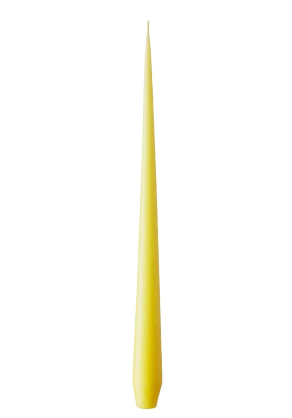 Olivia's Lemon Drop Large Taper Candles - Casa by Josephine Jenno