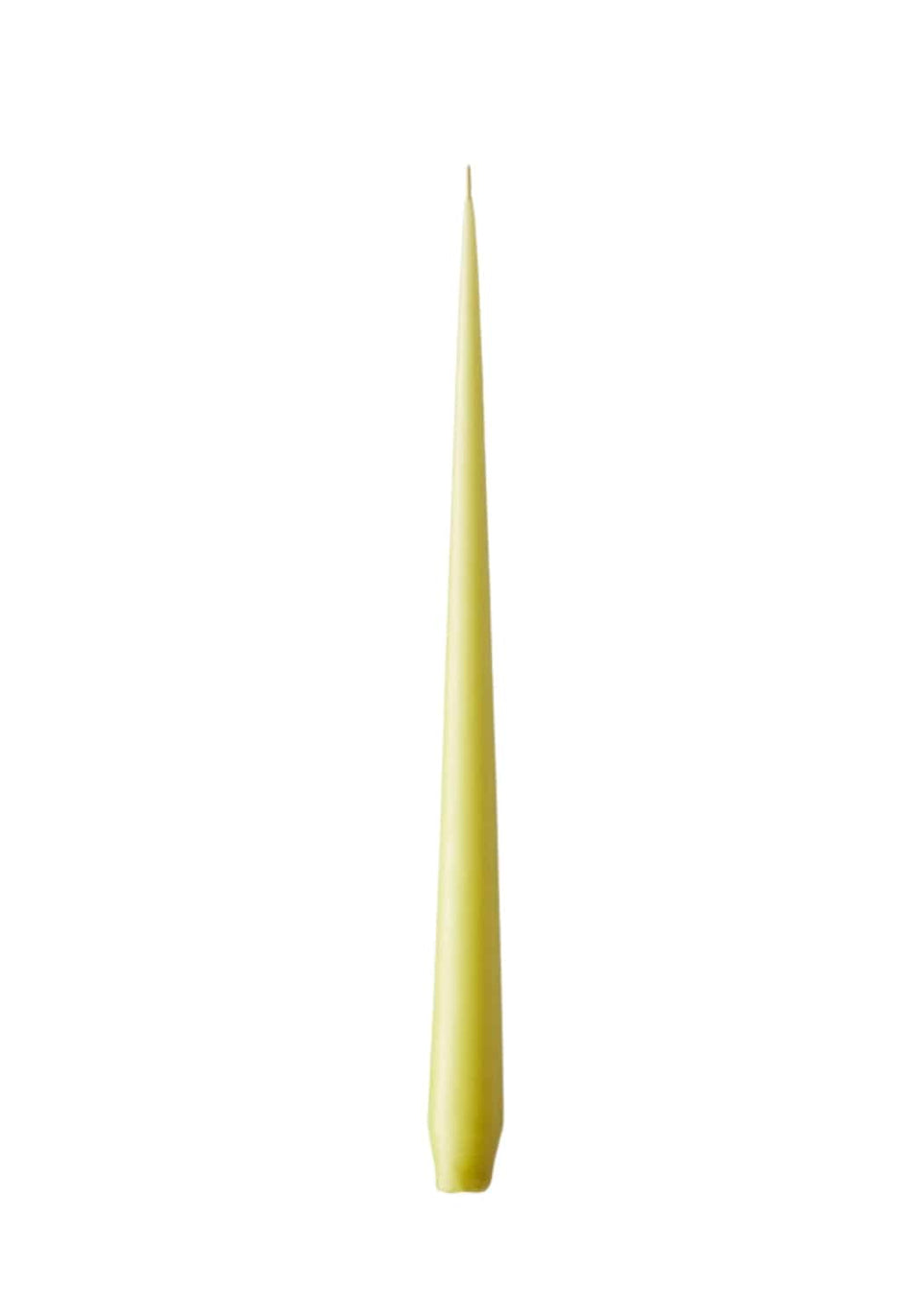 Olivia's Wasabi Taper Medium Candles - Casa by Josephine Jenno