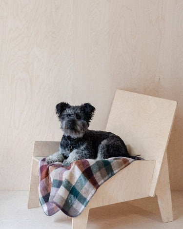 Recycled Wool Small Pet Blanket in Forest Herringbone Check