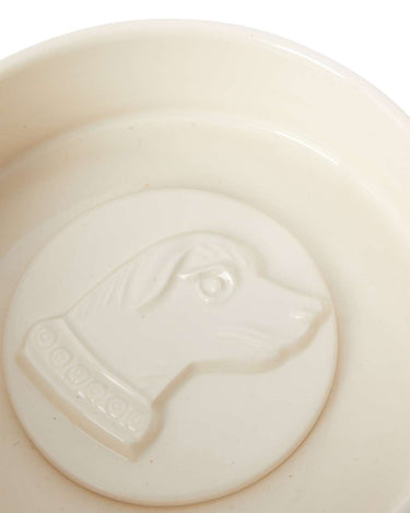 Brain of Britain Dog Bowl