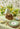Pheasant Fancy Dessert Plates - Set of 4 - Casa by Josephine Jenno