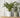 Speckled Stone Indoor Plant Pot