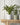 Speckled Stone Indoor Plant Pot