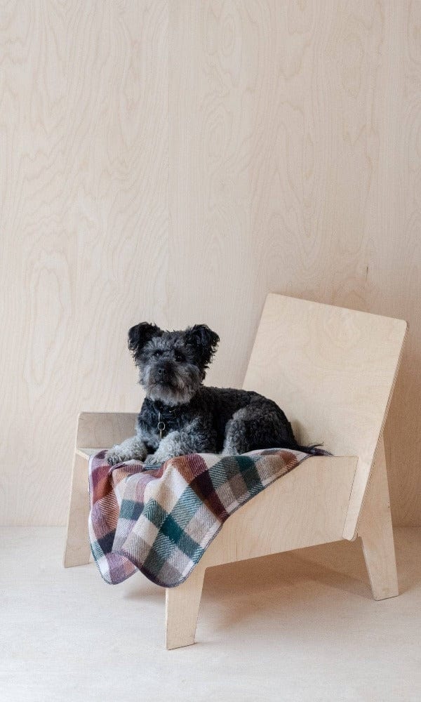Recycled Wool Small Pet Blanket in Forest Herringbone Check - Casa by Josephine Jenno