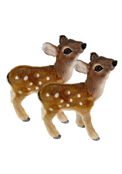Bambi's Sophisticated Cousin: Spotted Deer - A pair