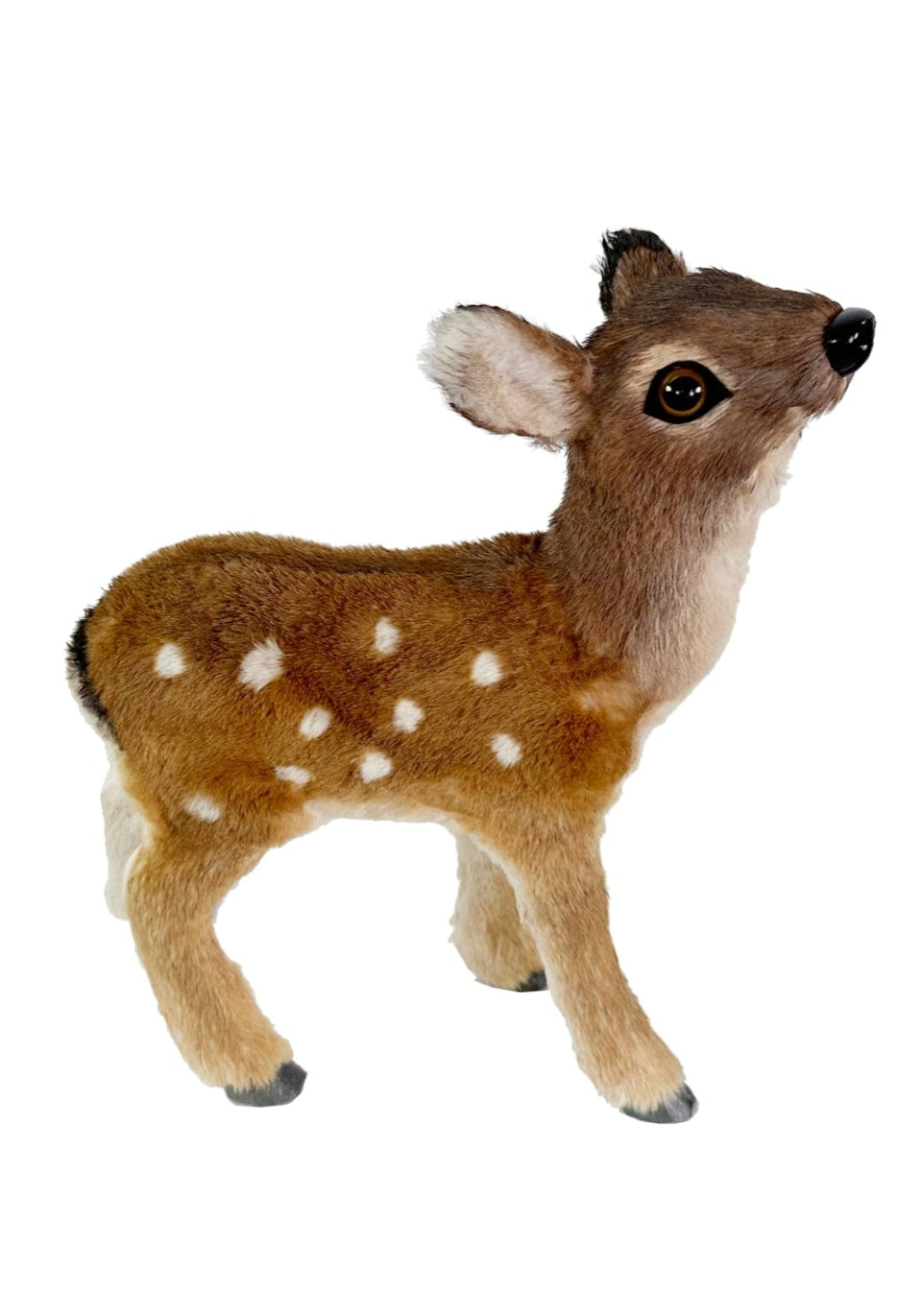 Bambi's Sophisticated Cousin: Spotted Deer - A pair
