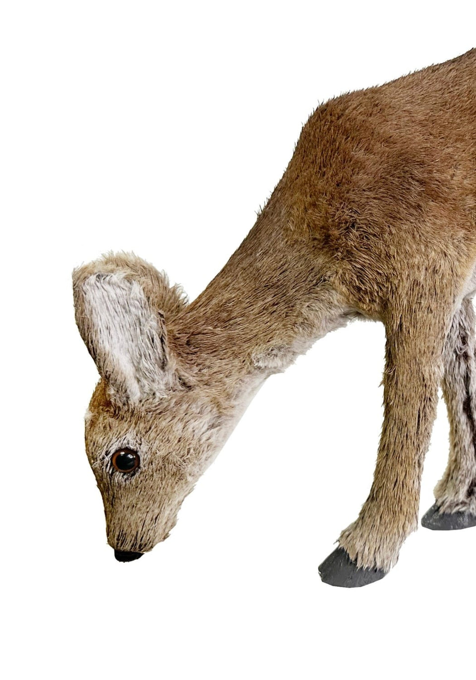 Peaceful Grazer: Brown Deer -A Pair