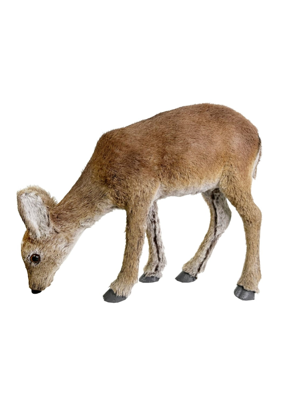 Peaceful Grazer: Brown Deer -A Pair