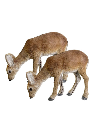 Peaceful Grazer: Brown Deer -A Pair