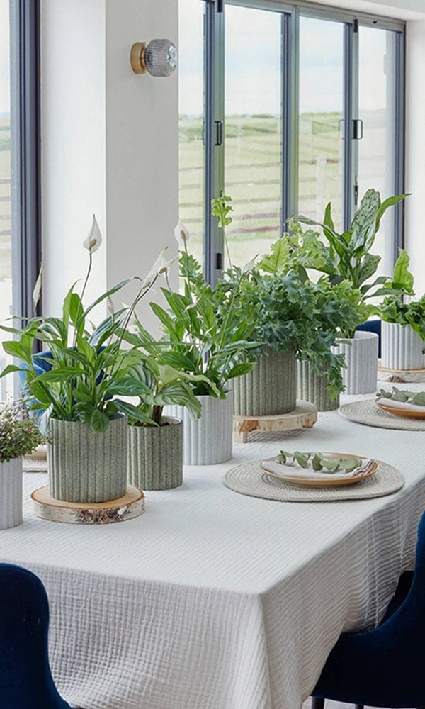 Speckled Stone Indoor Plant Pot - Casa by Josephine Jenno