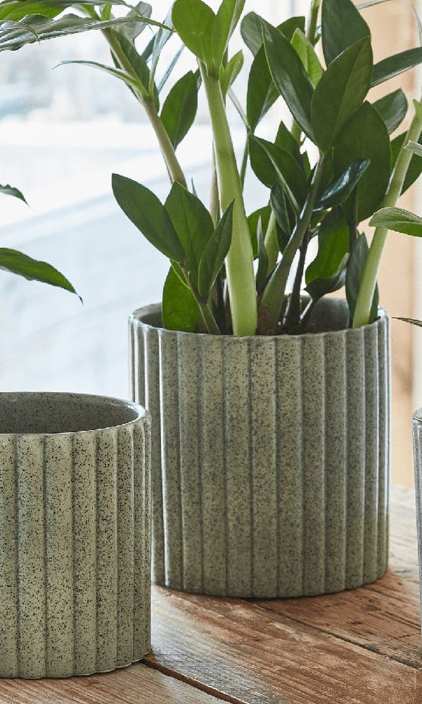 Speckled Stone Indoor Plant Pot - Casa by Josephine Jenno