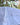 Tablecloth Blue Fan Tablecloth