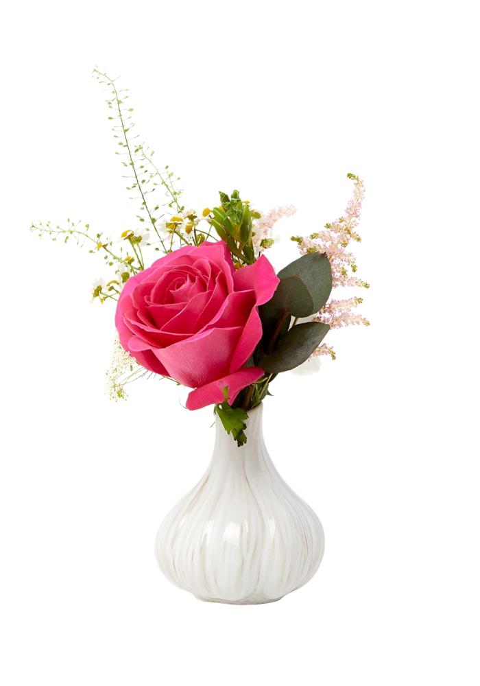 Vases Spice Up Your Space Garlic Bud Vase