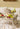 Windsor Botanical Vases - Set of 4