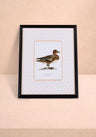 Duck I Framed Print - The Most Dashing Duck You'll Ever Hang on a Wall