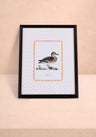 Duck II Framed Print - Utterly Adorable Wall Art