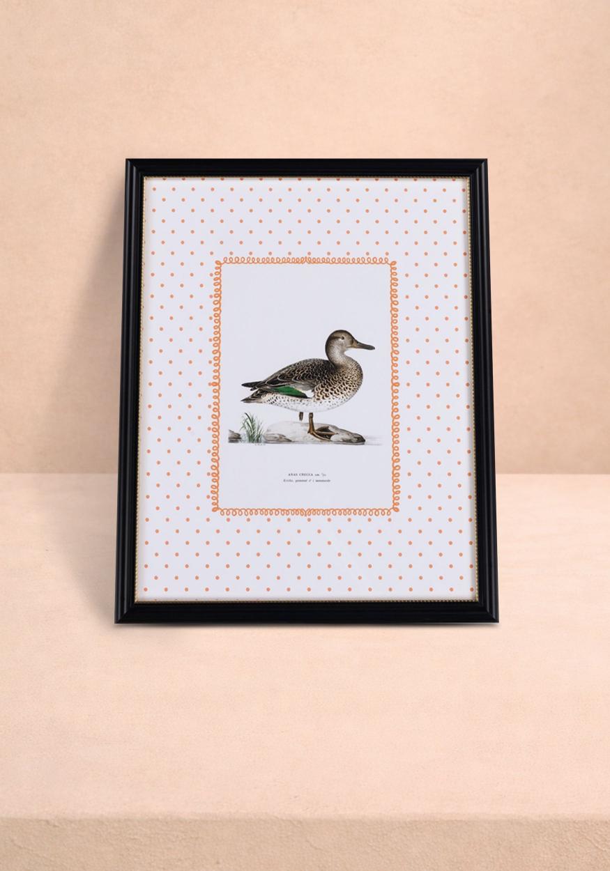 Duck II Framed Print - Utterly Adorable Wall Art