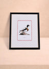 Duck IV Framed Print- The Prettiest By Far