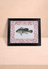 Fish III Framed Print Noble Vintage for the English Home