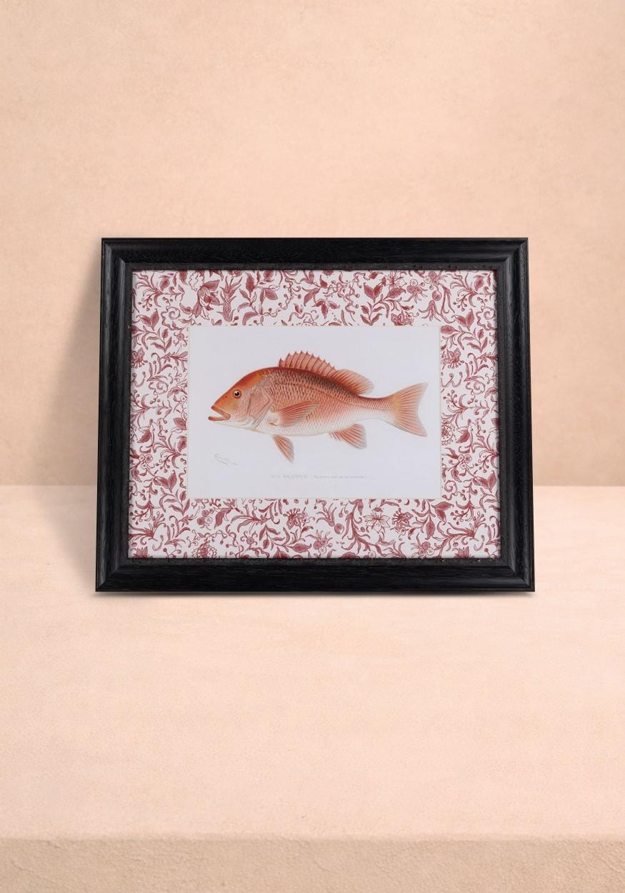 Fish Study I Vintage Character for Every Corner