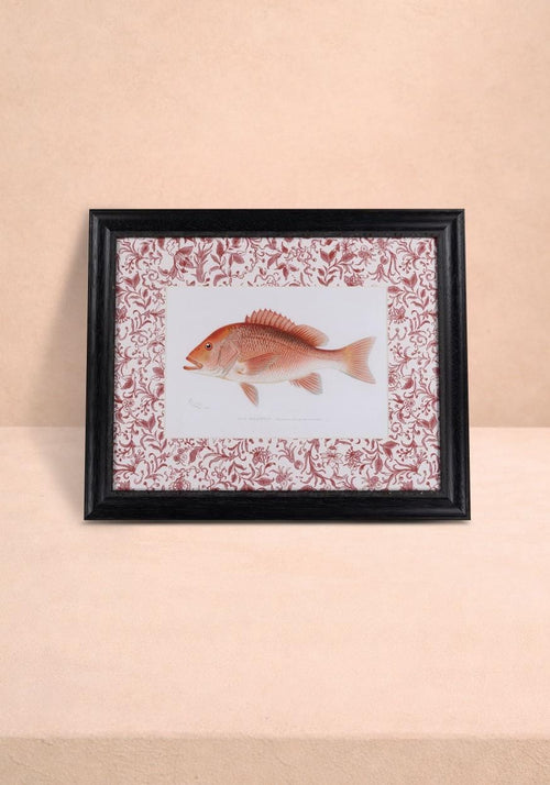 Fish Study I  Vintage Character for Every Corner