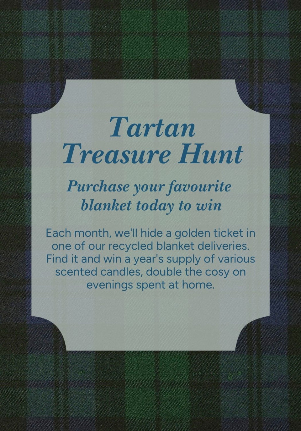 Wool Waffle Blanket In Green - Casa by Josephine Jenno